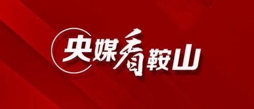 鞍山媒体爆料最新消息